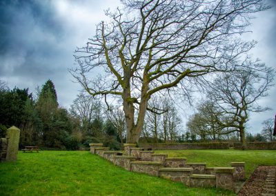 Image of a Tree outside in Garden of Parklandplace Lancashire